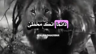حالاتى
