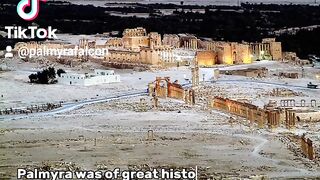 Palmyra