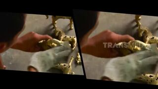 BRASS