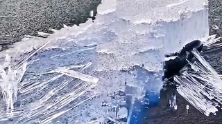 Ice see travel short