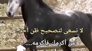 ينشئ مدون الفيديو هذا مقاطع فيديو رائعة! تعال وشاهد!    https://k.kwai.com/u/@Md6090/v7QikmCx