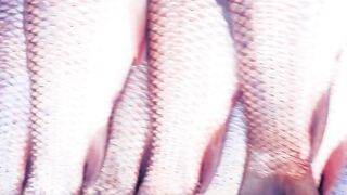 Fish ???????? Market
