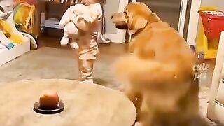 Funny Animals