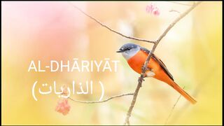 Surah Az-Zariat Full || By Sheikh Shuraim With Arabic  (HD)|سورة الذاريات|