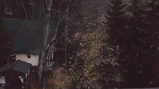 Short video
