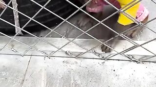 Funny video for u ????????????????????????