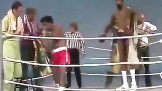 Epic funny boxing fight