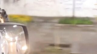 شاهد كلب يسوق الدراجة النارية