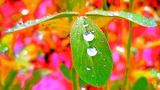 Beautiful naat beautiful pic Wallpaper