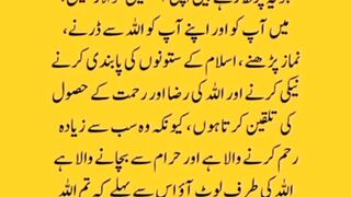 Dawat-e-