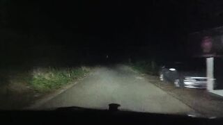 walking in the forest at midnight