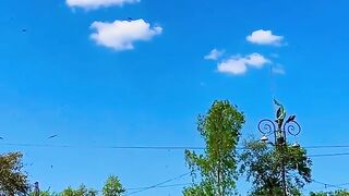 _صاف ستھرا diL_ ♥️    _برائے فروخت_ -????????