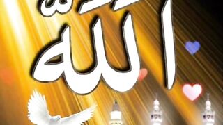 HDR786ISB-Quranic Shorts