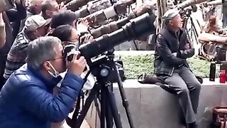 European bird  glorifying