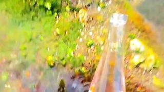 Beautiful  video record short