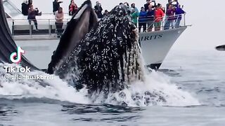 Beautiful sound Song