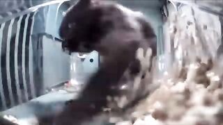 Mr. Food Digger ????????‍♂️ ????⛏️
