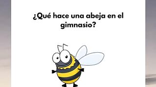 Que locura
