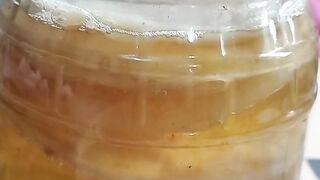 kombucha crescendo, isso é muito,  saudável com certeza
