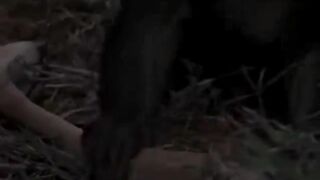 Nature life...animals
