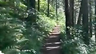 Free tree video