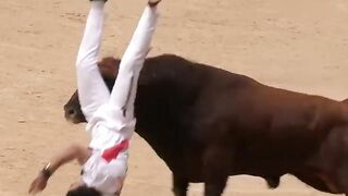 Toro_da_revolcón_al_Peta_Valencia_2024_#shorts(720p).