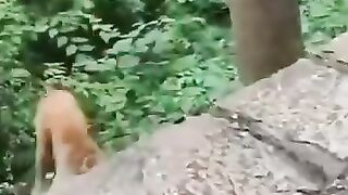 Hora de rir
