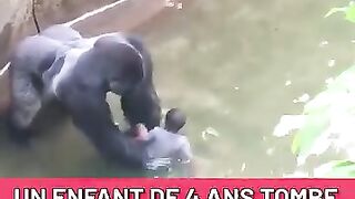 القرد والطفل