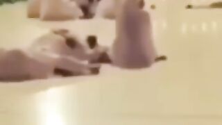 القط وصلاة الفجر