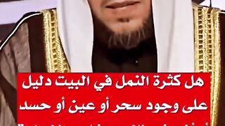 ماذا يرمز النمل في البيت