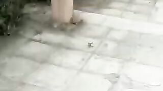 ممنوع الخوف