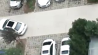 test drive