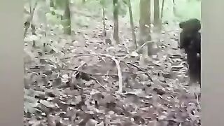 قبيلة في الادغال  بدائية