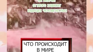 КАКВО СЕ СЛУЧВА ПО СВЕТА