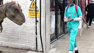 best funny video
