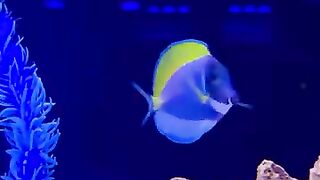 Aquarium