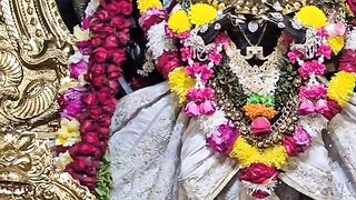 Jay Jay Shri Narsingh Dev ki #narsingh #ram #krishna #reels #viral #trending