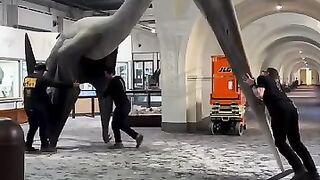 The size of a Quetzalcoatlus, the 2nd largest flying creature ever.