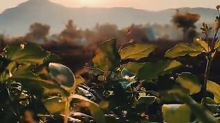 Natural background in travel