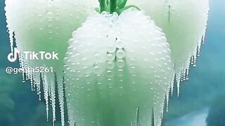 Beautiful sound song