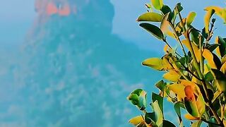 Sri Lanka beautiful place / history and beautiful of Sri Lanka book you Trip Sri Lanka