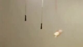 Funny vines compilation
