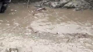 Farmer catching Fish