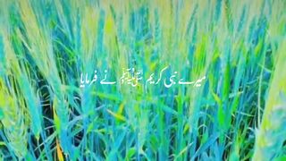 Muhammad saw