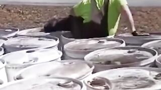 free smile ????????#shorts #shortsvideo#shrotsfeed #failsfunny #funnyvideos #funny #short #fyp