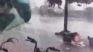 Cyclone destroyed  everything's