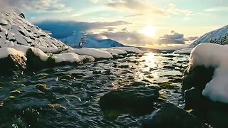 "Riverside Reverie: Embracing the Dawn's Delight"