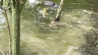 Water fish ????????????????????????