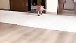 Horse baby