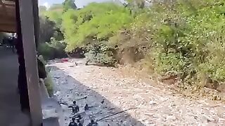 A group of people cleaned a heavily polluted river in 3 hours